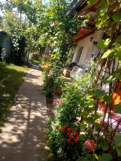 Casă cu 5 camere cu Teren 6817 Mp în Zănești