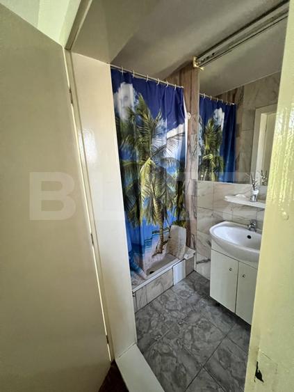 Casă individuală cu 10 camere cu Piscina în Girocului