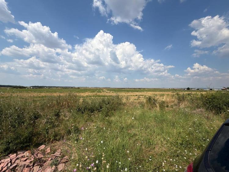 Teren de 12000 mp, în Cârcea