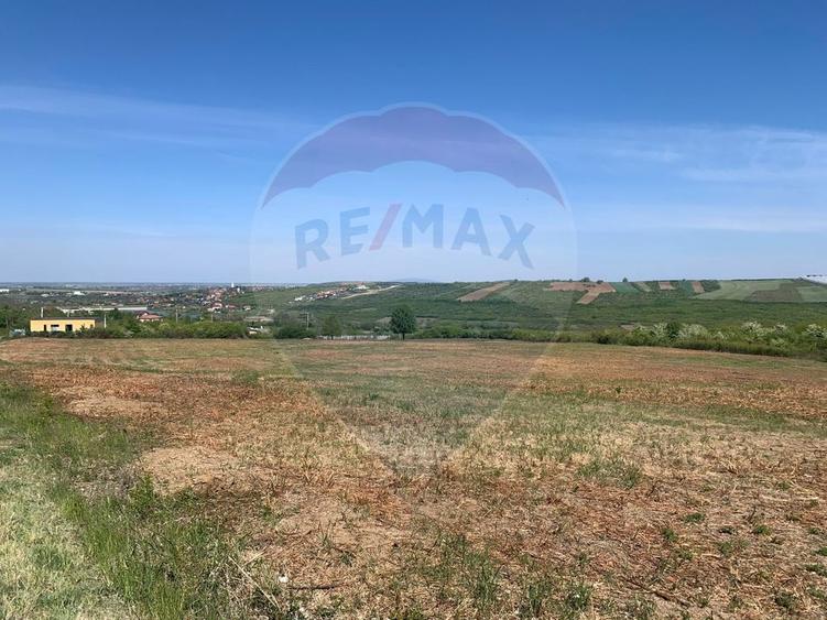 Teren Construcții intravilan de 1628 mp, în Paleu