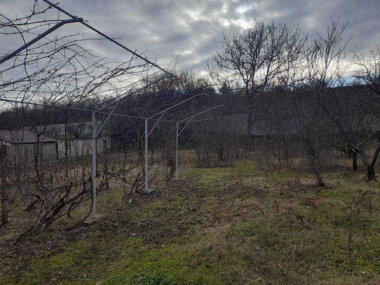 Teren cu Casa de vanzare in localitatea Ion Luca Caragiale pe dn72 - 4
