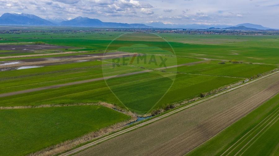 Teren agricol extravilan de 4000 mp, în Stupinii Prejmerului