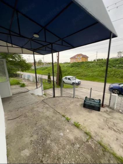 Proprietate Mihaesti Jud Olt 4000mp - 3