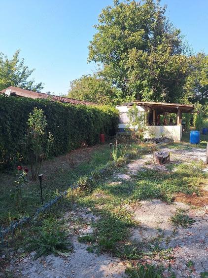 Teren de 1000 mp, în Dârvari