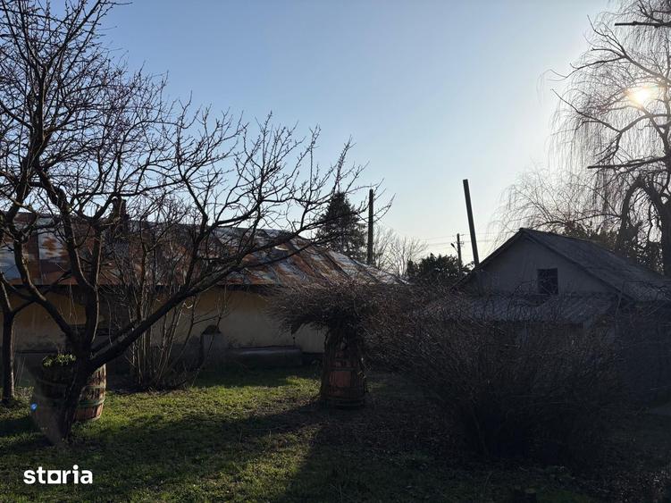 Casă cu 5 camere cu Teren 1300 Mp în Salcia