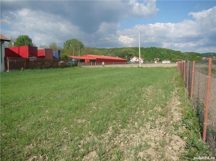 Teren de 4850 mp, în Budești