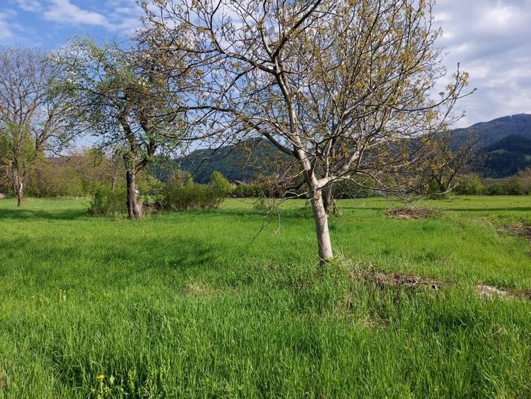 Teren Construcții intravilan de 1240 mp, în Vaduri
