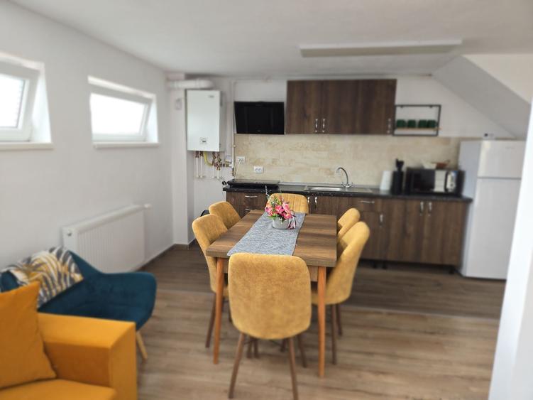 Apartament cu 2 camere decomandat în Viilor