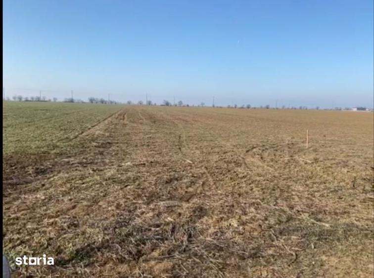 Teren de 70000 mp, în Cornești