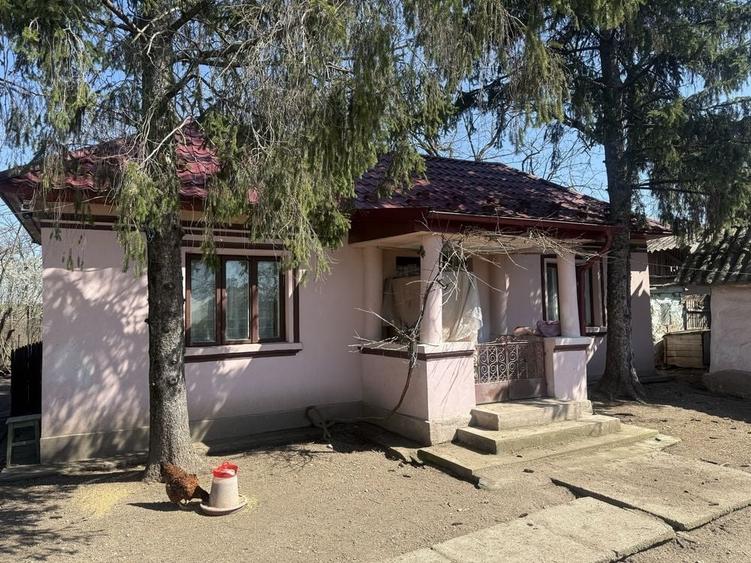 Casă cu 3 camere în Ștefănești