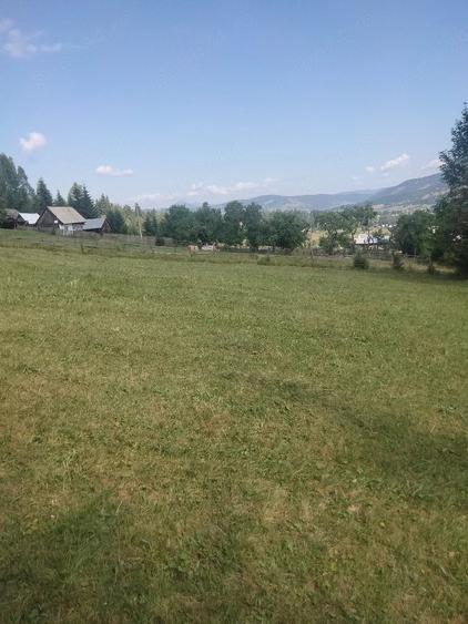 Teren de 2900 mp, în Panaci