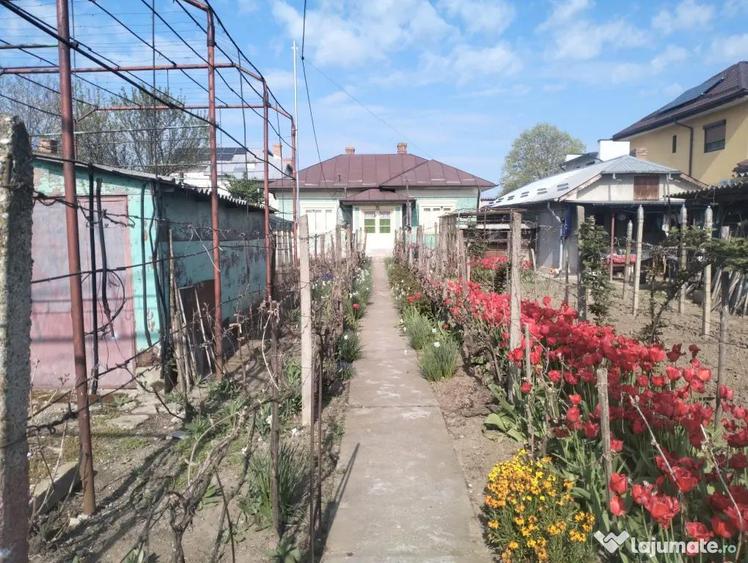 Apartament cu 7 camere decomandat, mobilat în Central
