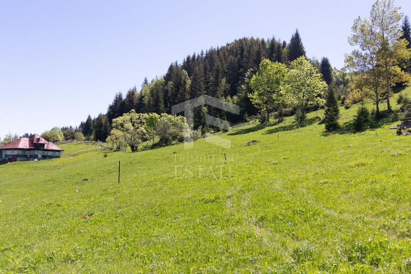 Teren Construcții intravilan de 15771 mp, în Fundata