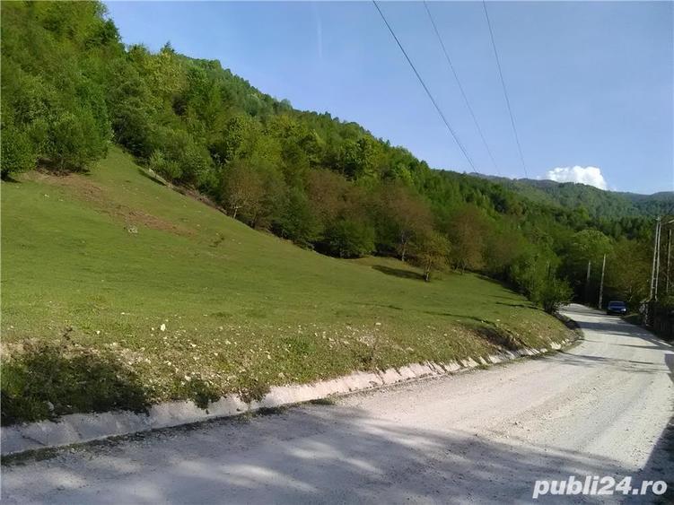 Teren de 5500 mp, în Pietroasa