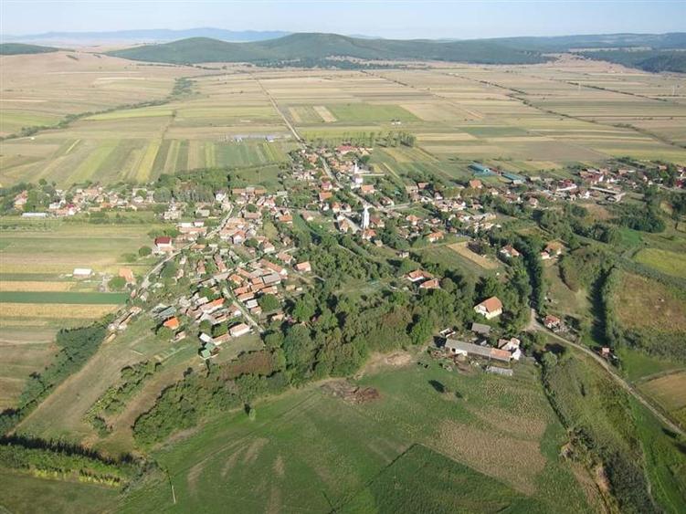 Teren Construcții intravilan de 6245 mp, în Dobolii de Jos
