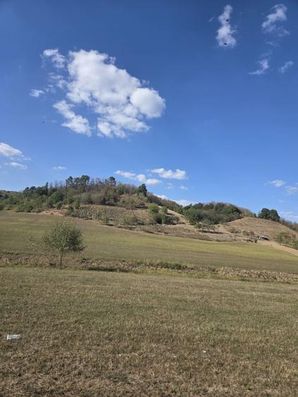 Spațiu comercial, în Tileagd