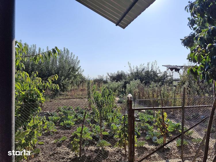 Casa la tara in Sacadat, Bihor, teren 2826 mp, acces auto - Vanzare - 18