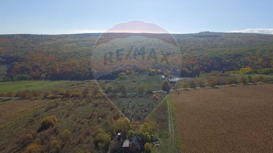 Teren agricol intravilan de 2556 mp, în Pădureni (Chinteni)