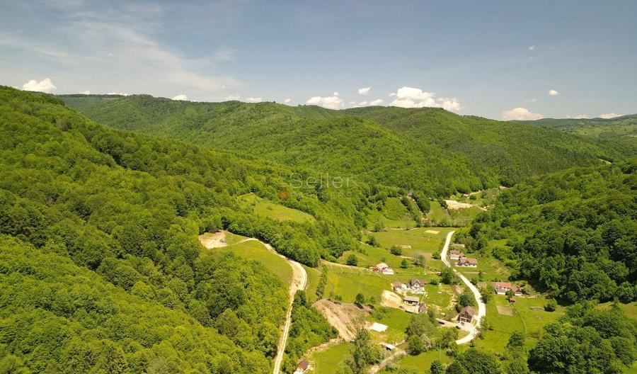 Teren Construcții extravilan de 16000 mp, în Poiana Mărului