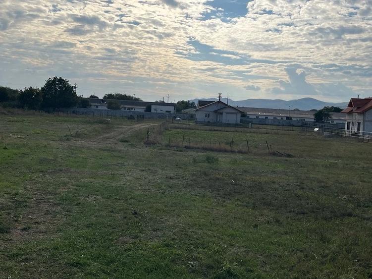 Teren de 721 mp, în Vințu de Jos