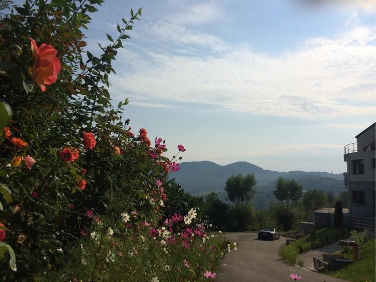 Casă cu 4 camere în Telega