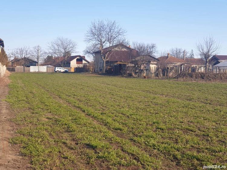 Teren de 3000 mp, în Tomșani