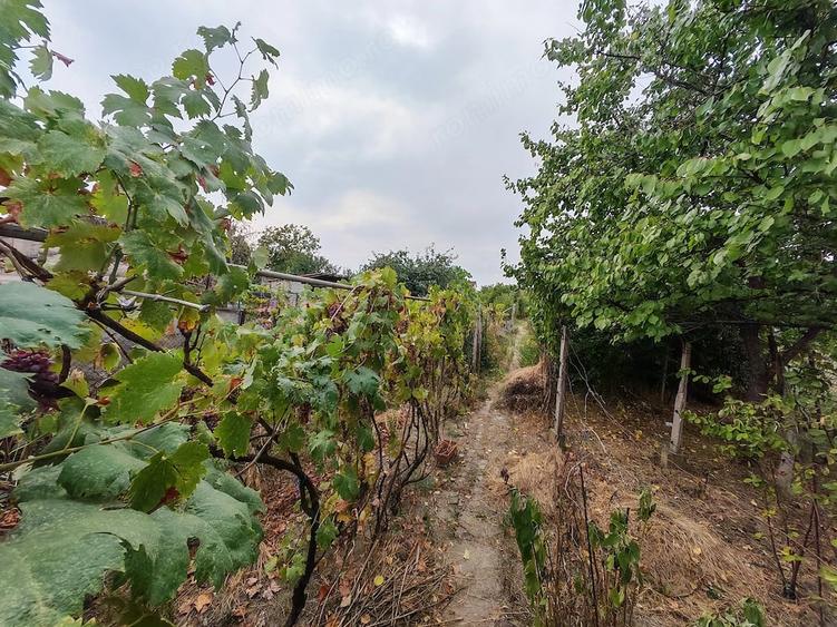 Casă cu 3 camere cu Teren 950 Mp în Fratelia