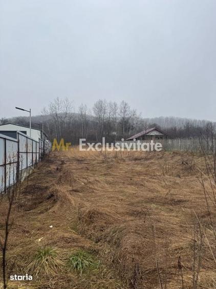 Teren 1758 mp DN7 - Prislopu Mare, Draganu! - 3