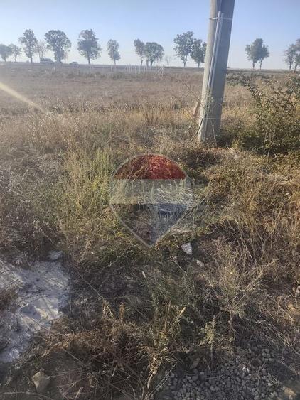 Teren agricol intravilan de 553 mp, în Gepiu