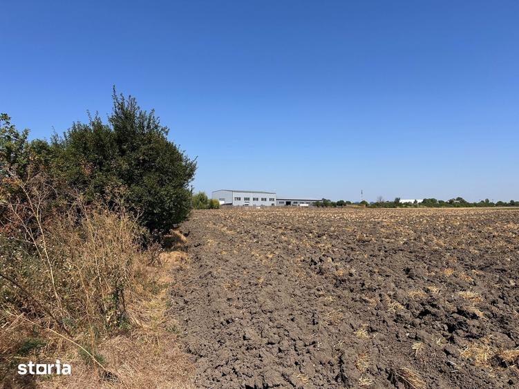 Teren de 5600 mp, în Milcovul