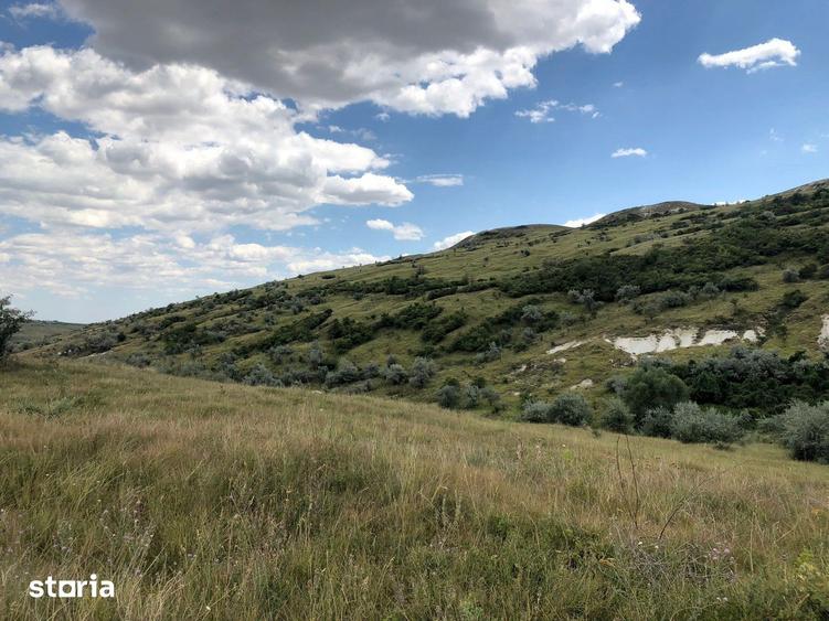 Teren de 500000 mp, în Gura Vadului