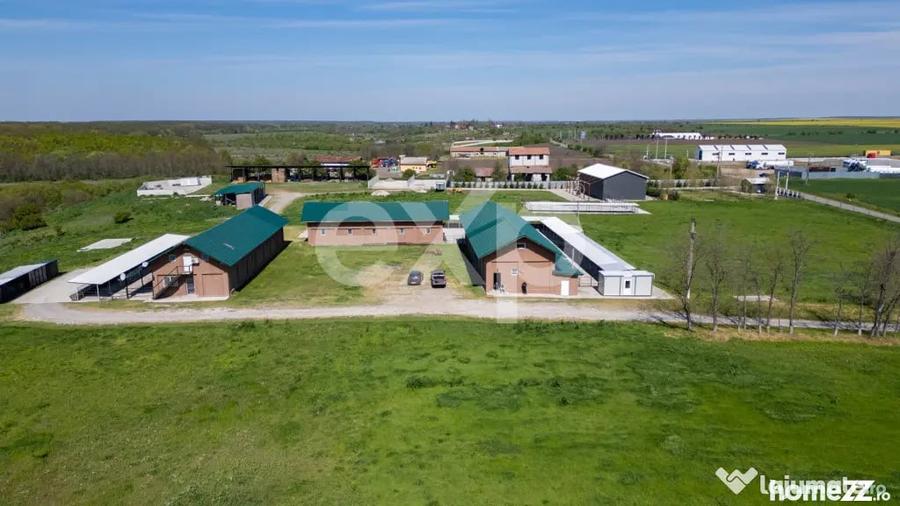 Black Angus Farm with authorized Slaughterhouse - 6