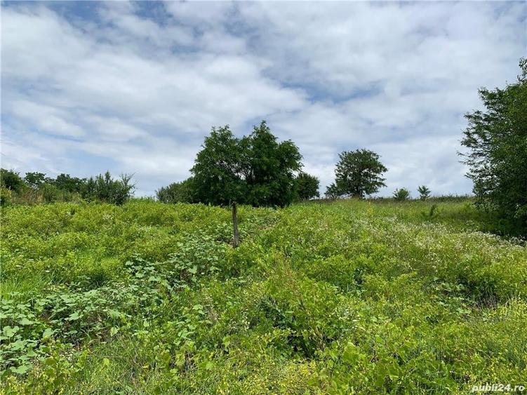 Casă cu 2 camere cu Teren 1500 Mp în Vârvor