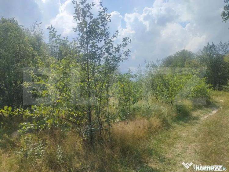 Teren de 5857 mp, în Horodnic