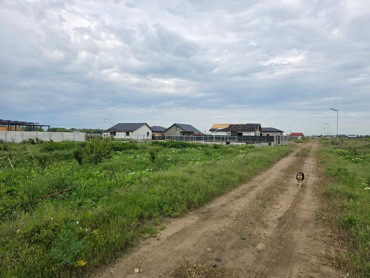 Teren Construcții intravilan de 529 mp, în Frumușani