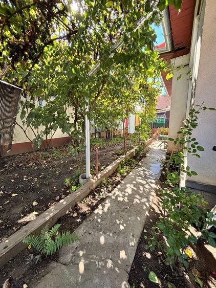Casă cu 3 camere în Vălcani