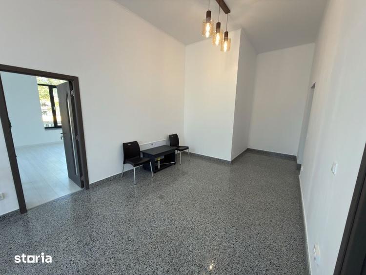 Casă cu 9 camere cu Teren 232 Mp în Ana Ipătescu