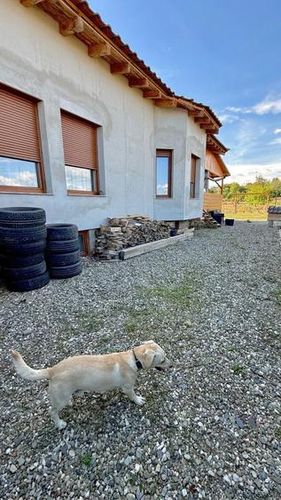 Casă cu Teren 1000 Mp în Central