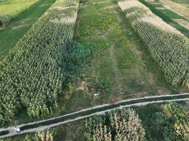 Teren de 2800 mp, în Petrești