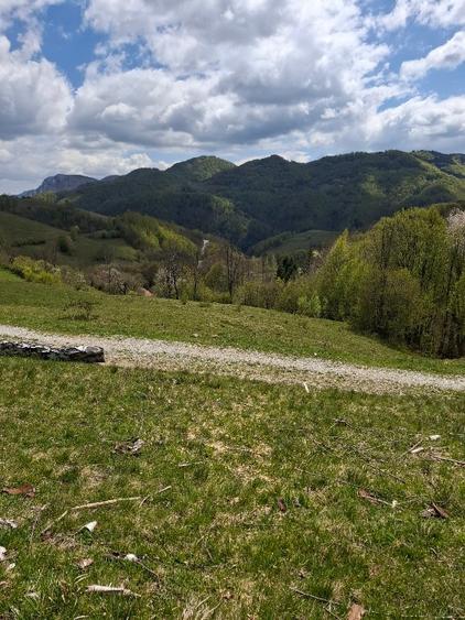 Teren agricol extravilan de 7069 mp, în Măcărești