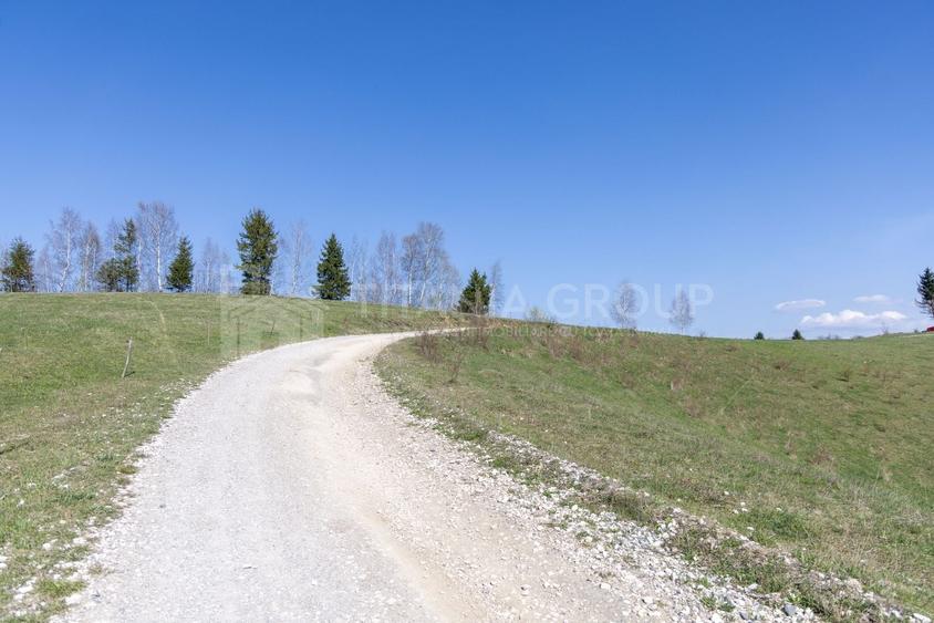 Teren Construcții intravilan de 3791 mp, în Poiana Mărului