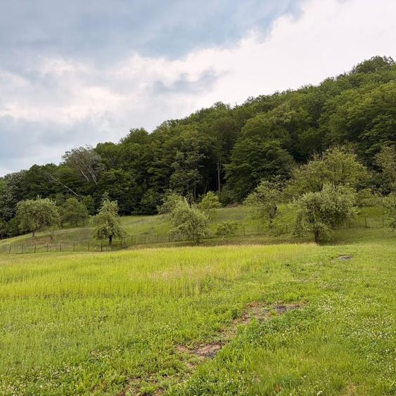 Casă cu 2 camere în Ileanda