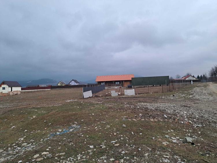 Teren de 1450 mp, în Cărpiniș