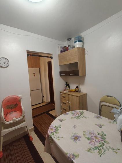 Apartament cu 2 camere semidecomandat în Săsar