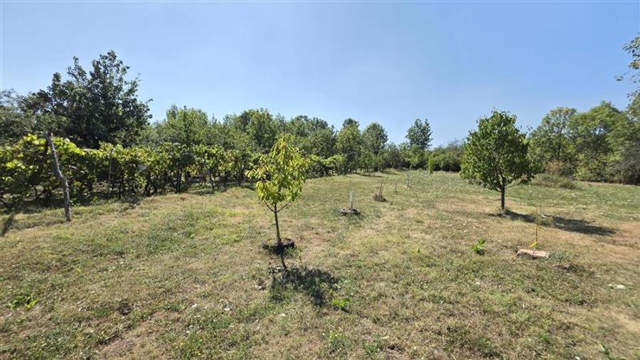 Casă individuală cu 9 camere cu Teren 4400 Mp în Petrilova