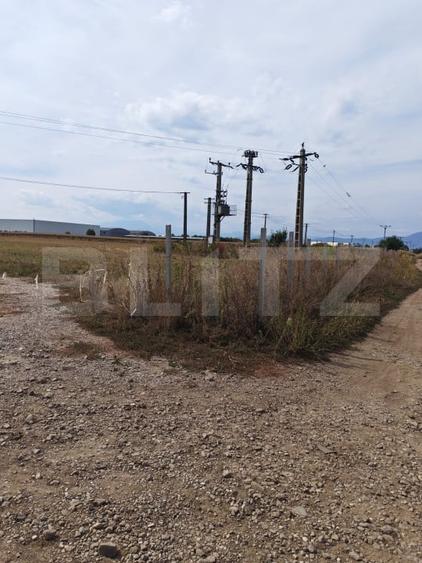 Teren Construcții intravilan de 15924 mp, în Bartolomeu