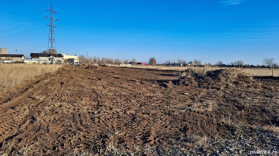 Teren de 7500 mp, în Viile Noi