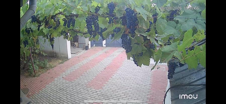 Casă individuală cu 4 camere cu Canalizare în Sud-Vest