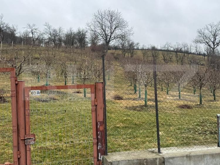 Teren Construcții intravilan de 3001 mp, în Nord-Vest