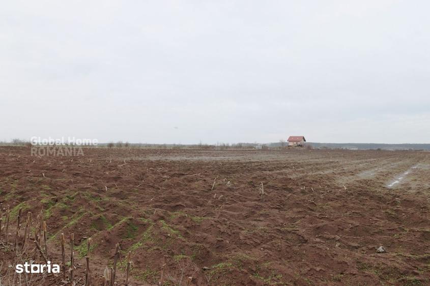 Teren de 4000 mp, în Central